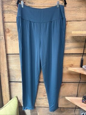Garnet Hill Joggers - Blue